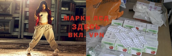 стаф Заводоуковск