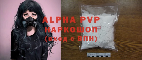 прущие грибы Абаза