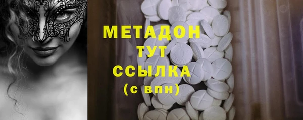 прущие грибы Абаза