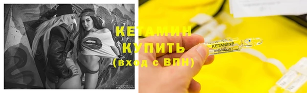 прущие грибы Абаза