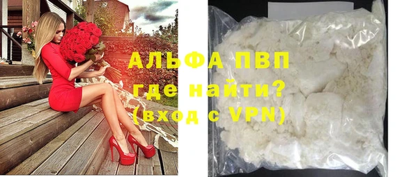 прущие грибы Абаза