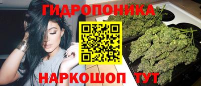 хмурый Обь