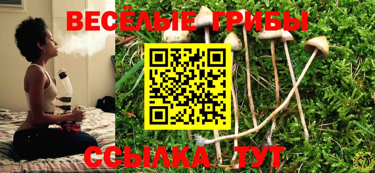 Псилоцибиновые грибы Psilocybe  Вход с VPN  Благовещенск  Псилоцибиновые грибы мухоморы 